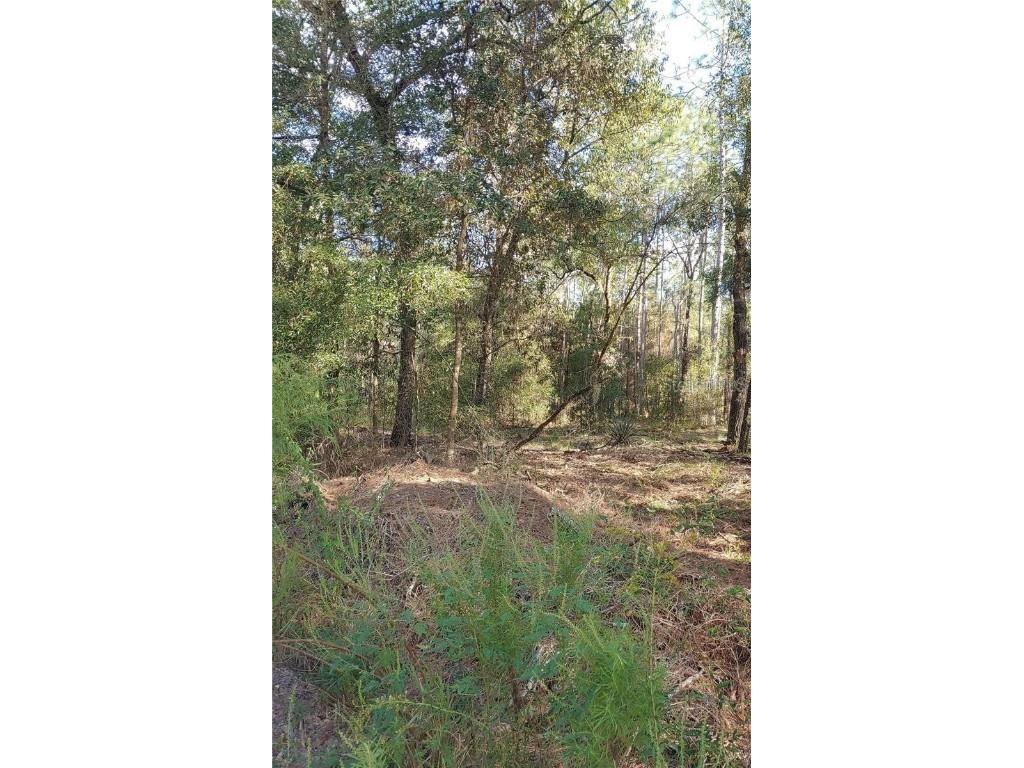 SW 19th Place Ocala FL 34481 U8235170 image1