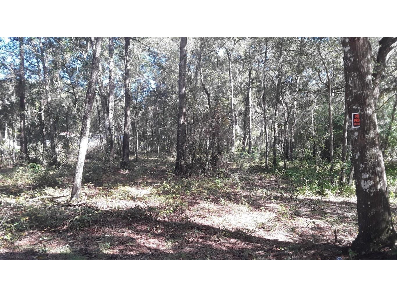 SW 202 Avenue Dunnellon FL 34431 OM715456 image1