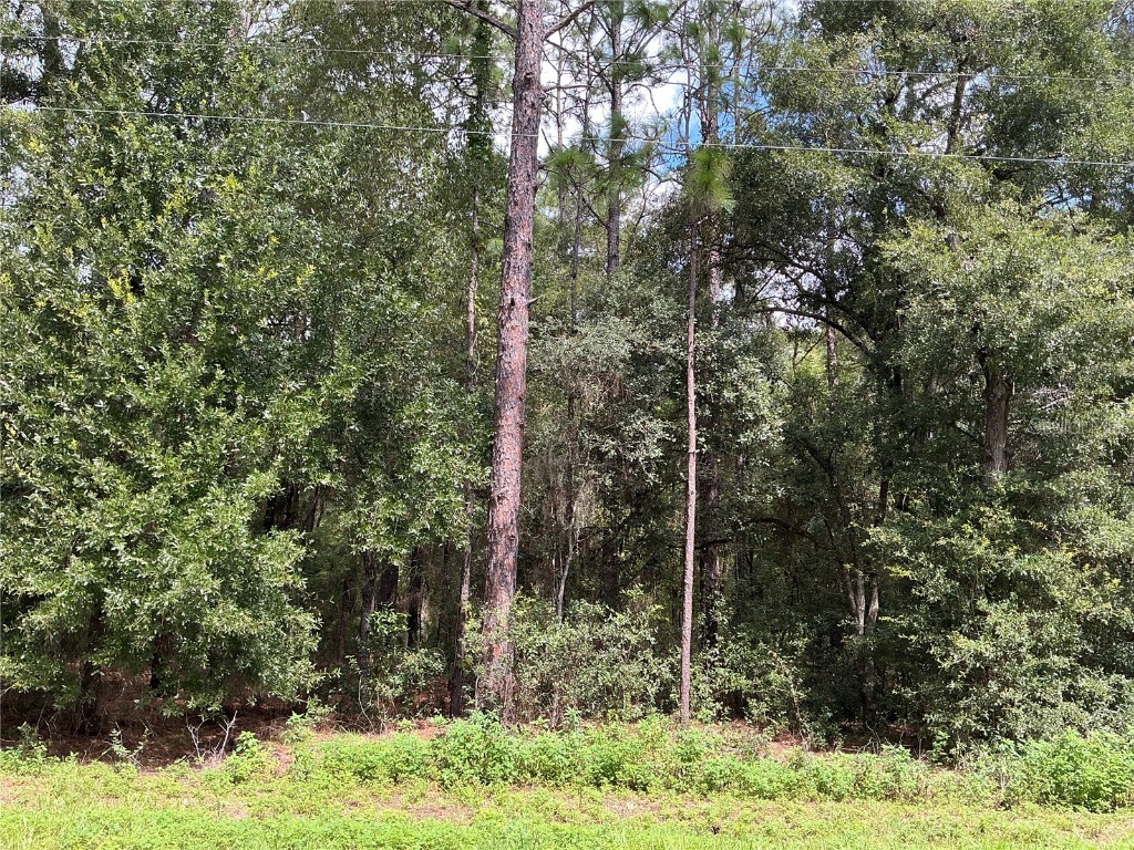 SW 202nd Court Dunnellon FL 34431 OM684999 image1
