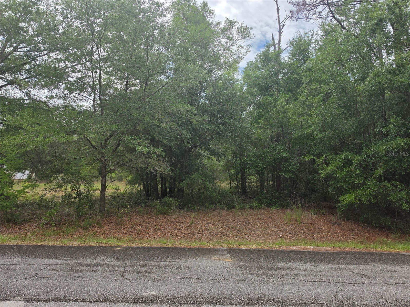 SW 202nd Court Dunnellon FL 34431 OM725583 image1