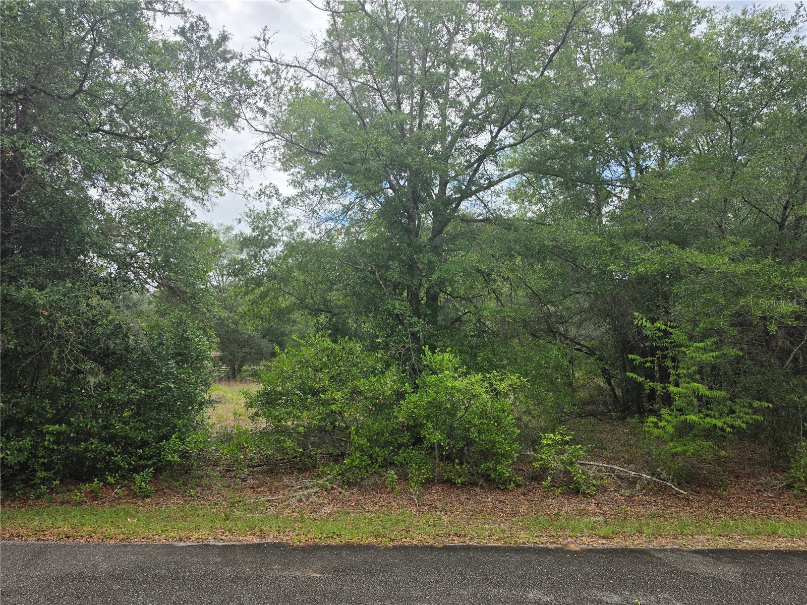 SW 202nd Court Dunnellon FL 34431 OM725583 image3