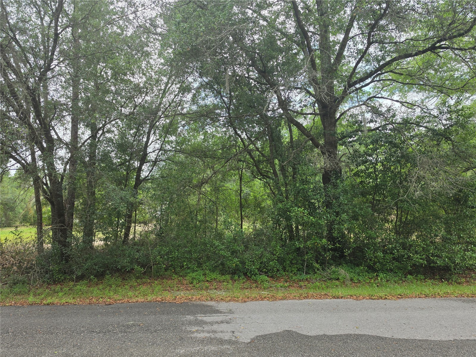SW 202nd Court Dunnellon FL 34431 OM725583 image4