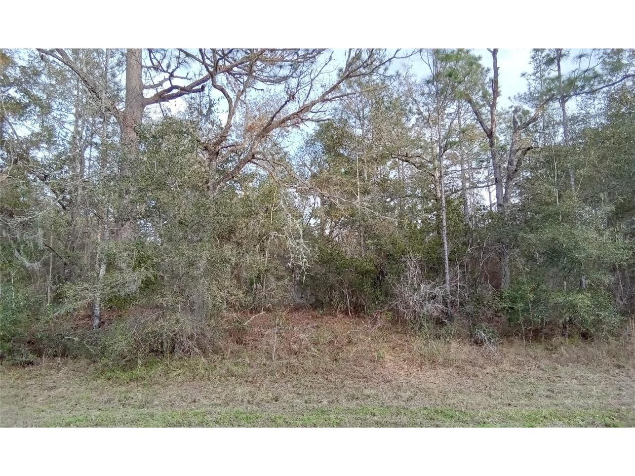 SW 204th Avenue Dunnellon FL 34431 OM673977 image1