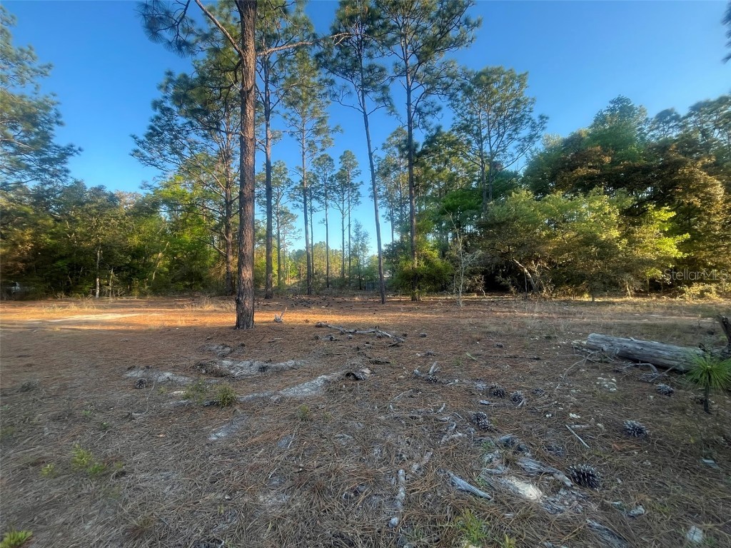 SW 204th Dunnellon FL 34431 OK225048 image1