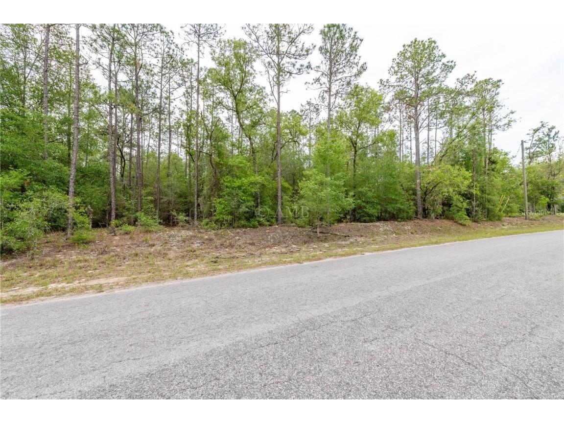 SW 205th Circle Dunnellon FL 34431 OM658460 image1