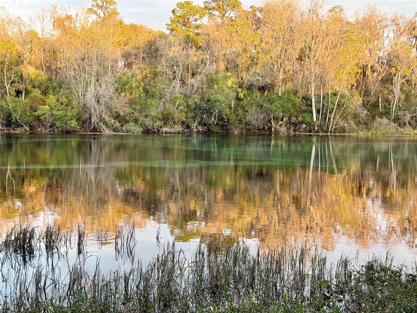 Sw 205th Circle Dunnellon FL 34431 O6382559 image8