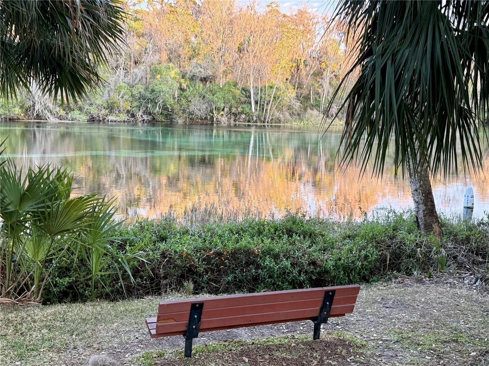 Sw 205th Circle Dunnellon FL 34431 O6382559 image9