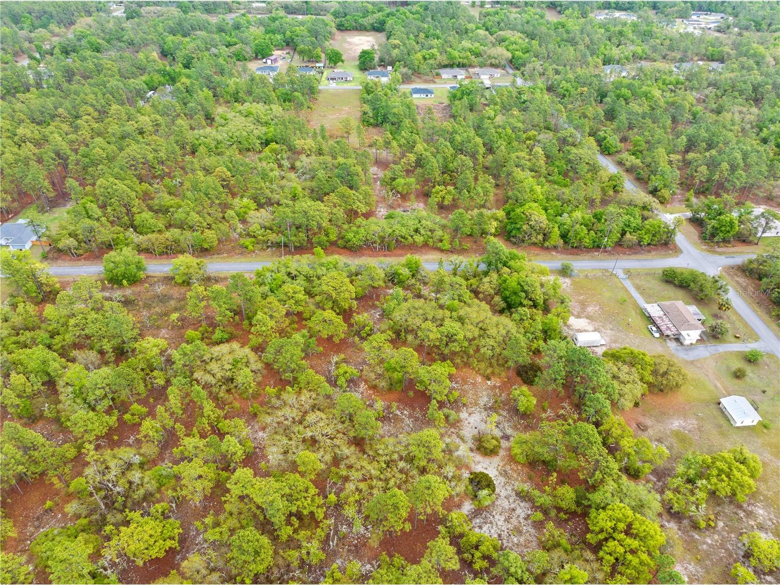 SW 206th Avenue Dunnellon FL 34431 TB8493364 image10