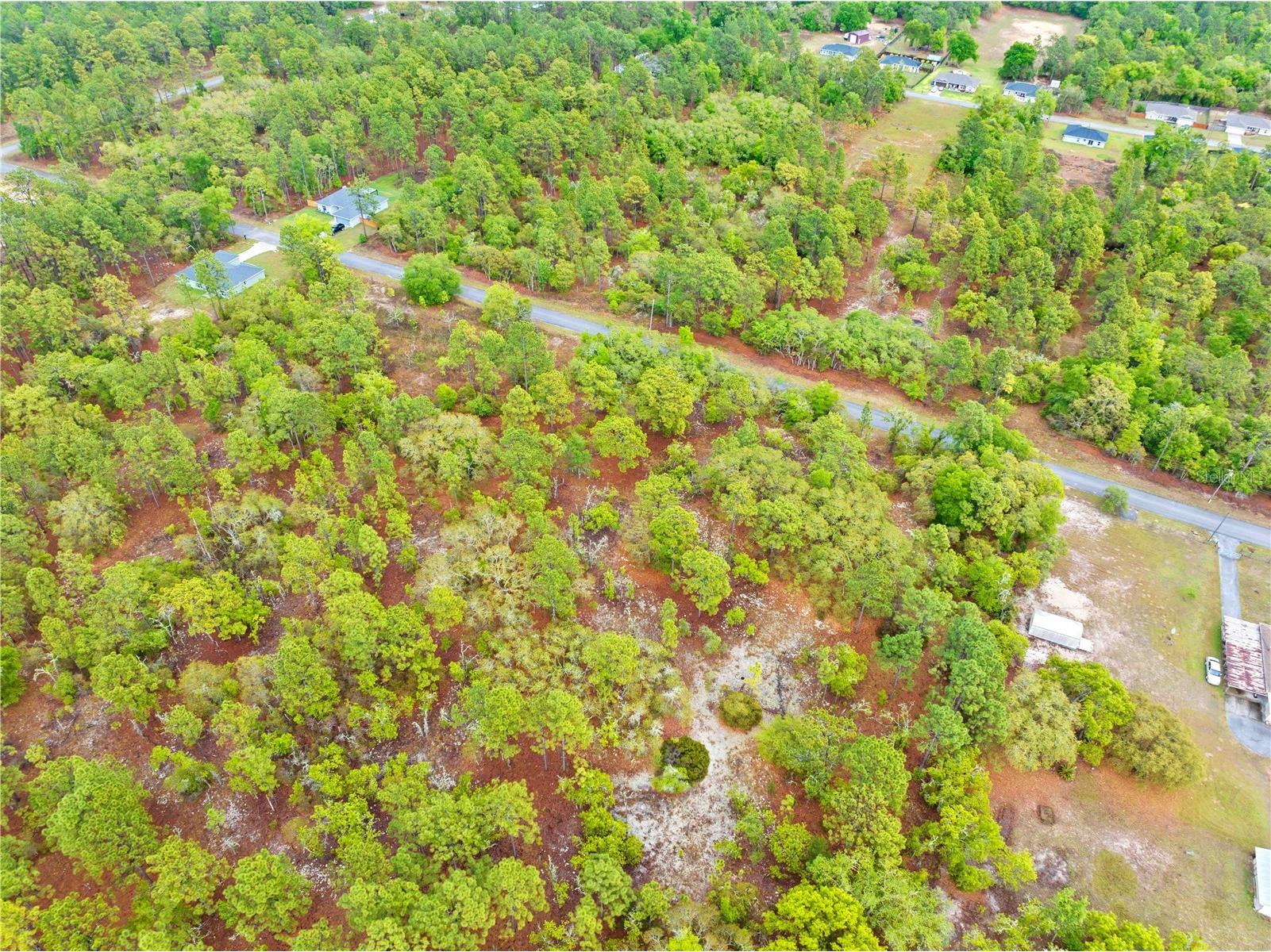SW 206th Avenue Dunnellon FL 34431 TB8493364 image11