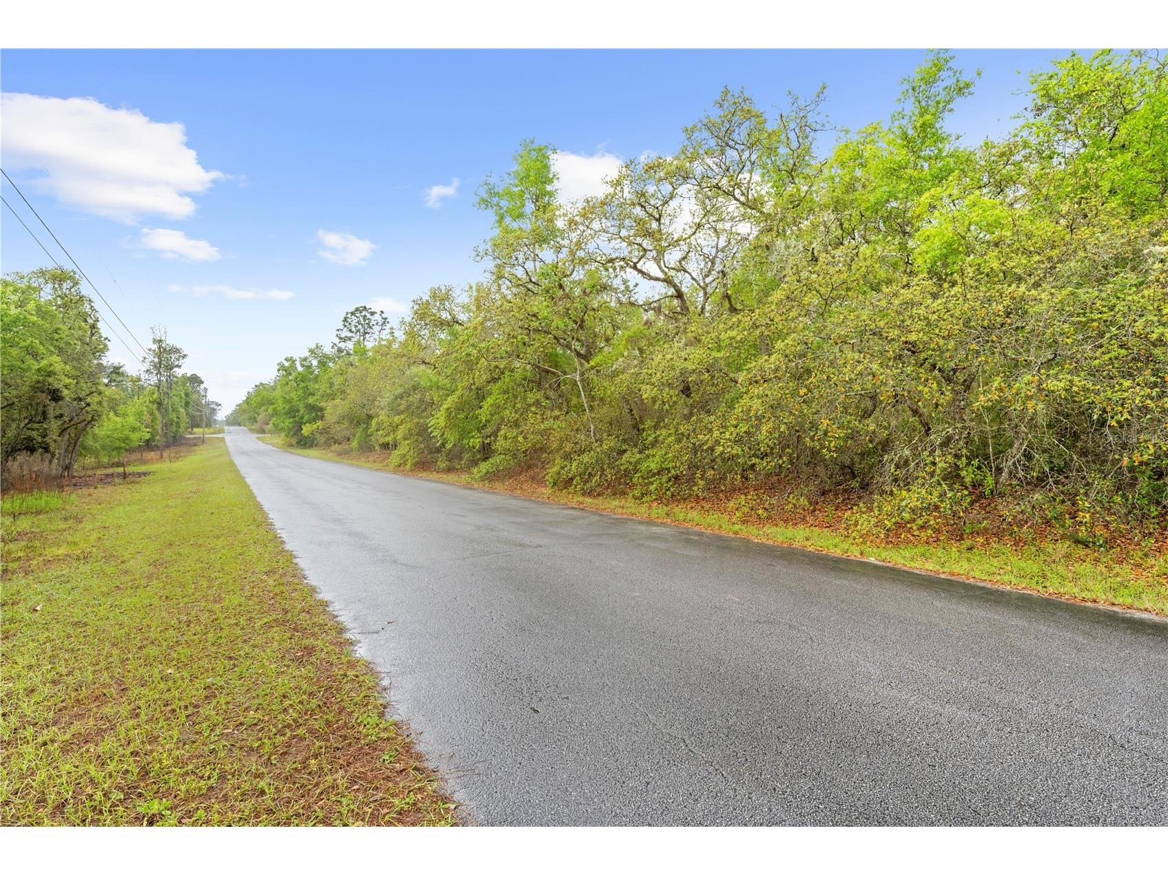 SW 206th Avenue Dunnellon FL 34431 TB8493364 image12