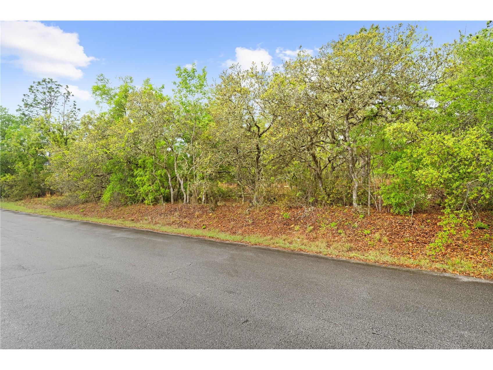 SW 206th Avenue Dunnellon FL 34431 TB8493364 image13