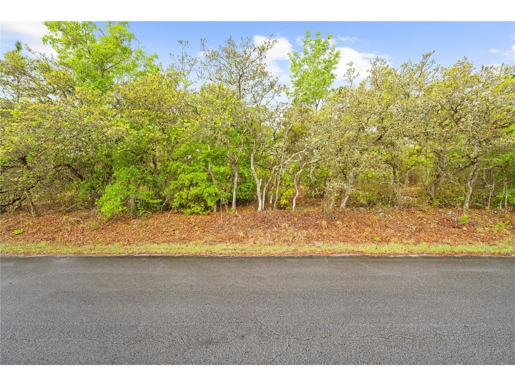 SW 206th Avenue Dunnellon FL 34431 TB8493364 image14