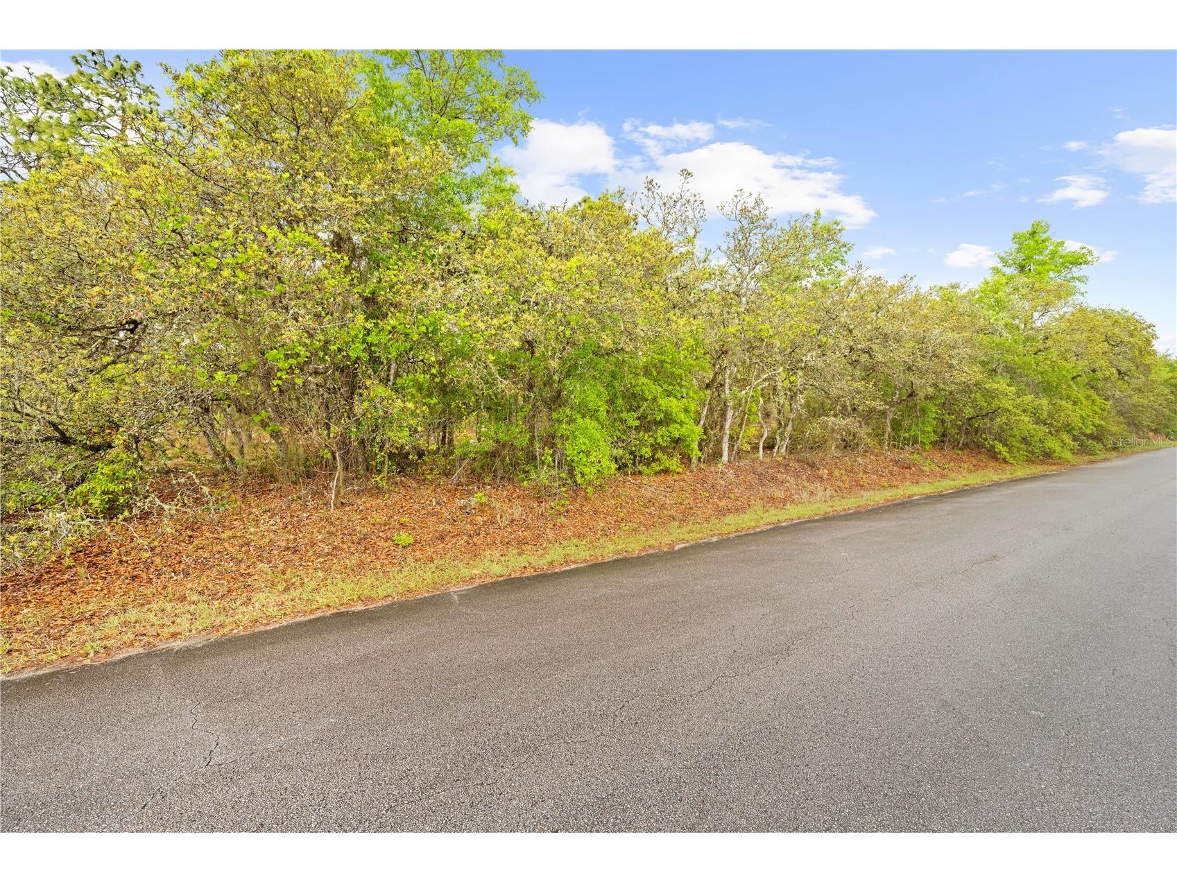 SW 206th Avenue Dunnellon FL 34431 TB8493364 image15