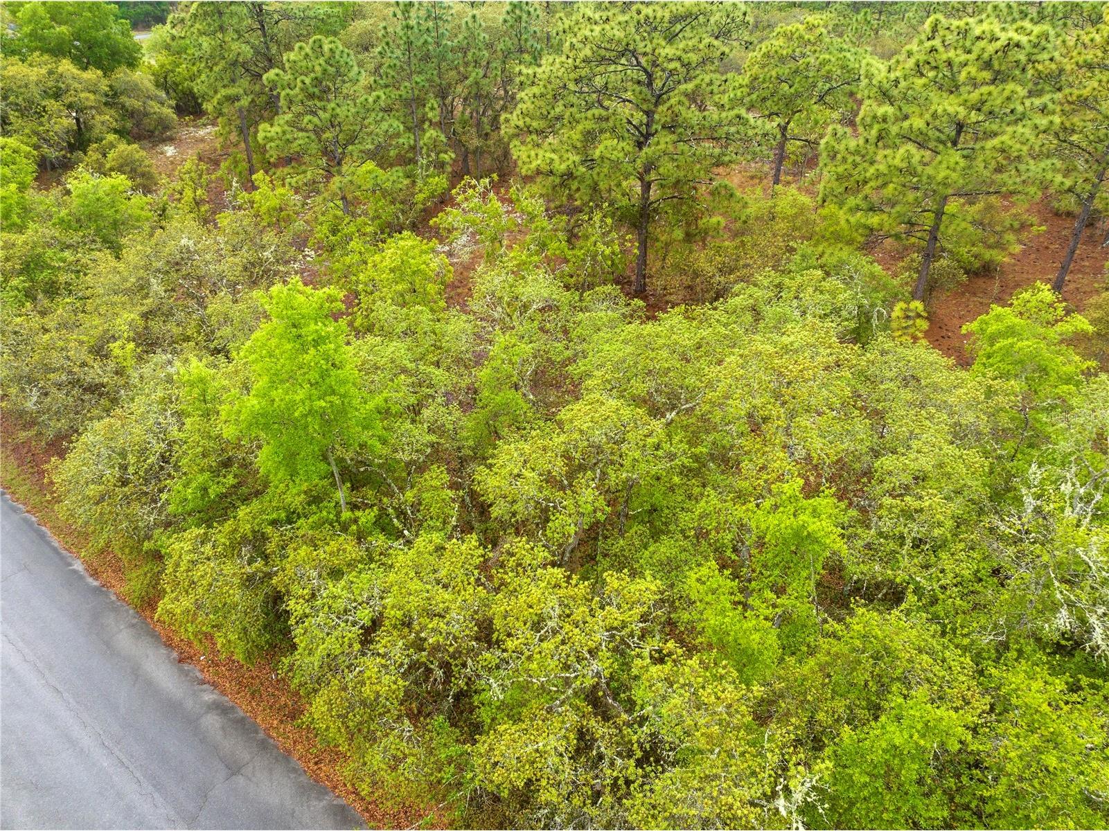 SW 206th Avenue Dunnellon FL 34431 TB8493364 image16
