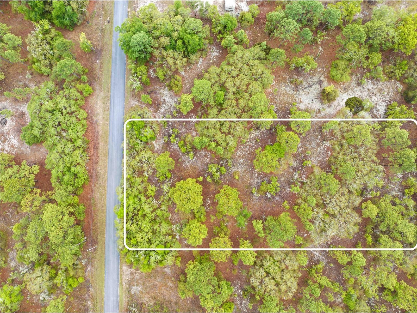 SW 206th Avenue Dunnellon FL 34431 TB8493364 image2