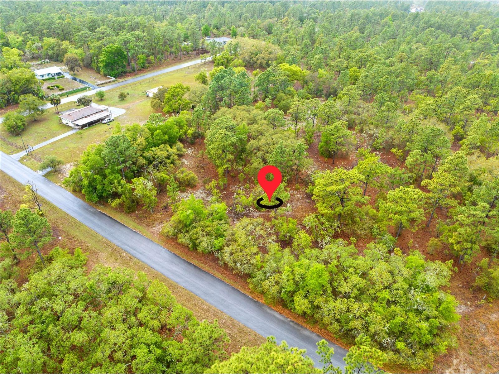 SW 206th Avenue Dunnellon FL 34431 TB8493364 image3