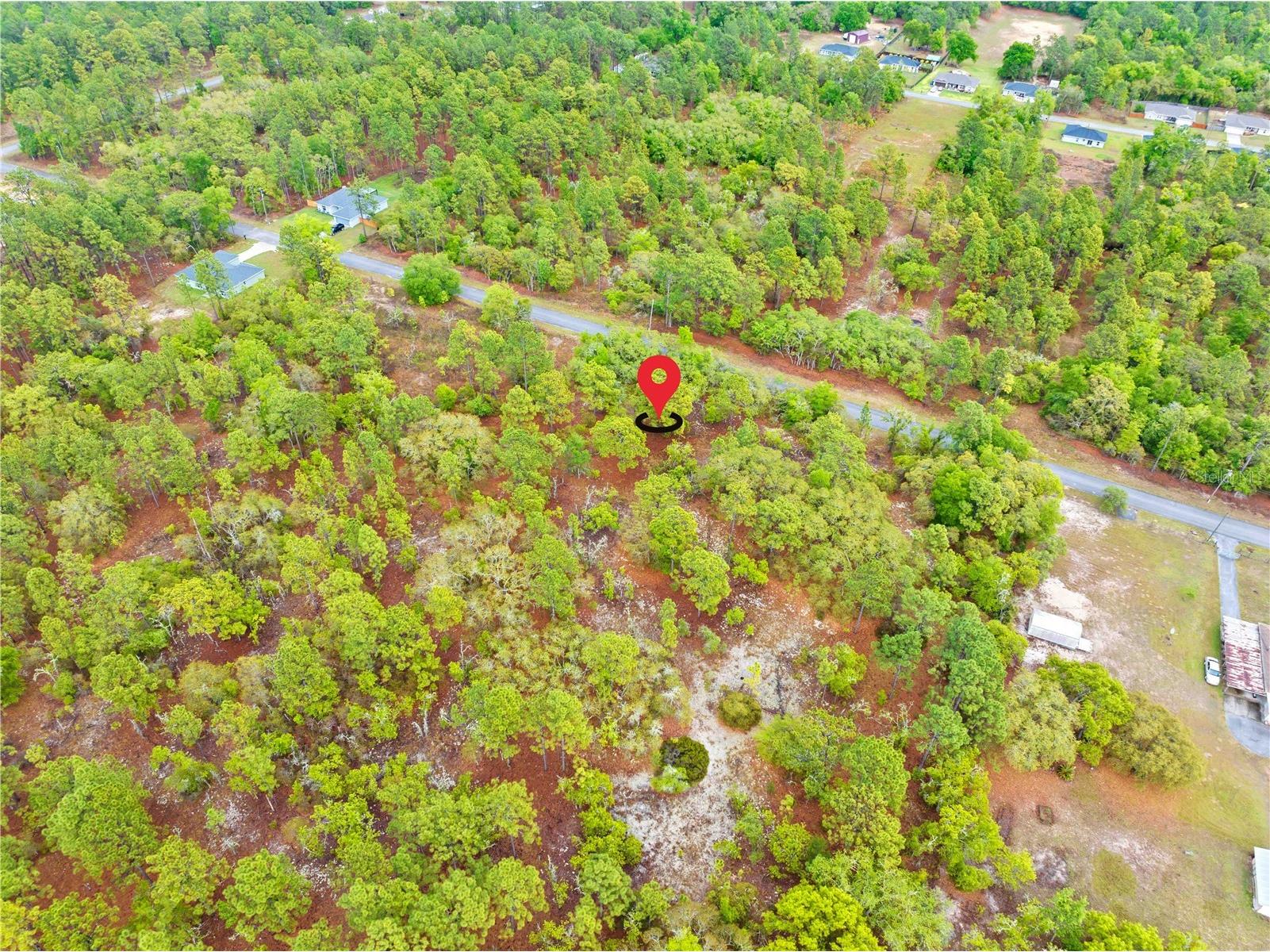 SW 206th Avenue Dunnellon FL 34431 TB8493364 image4
