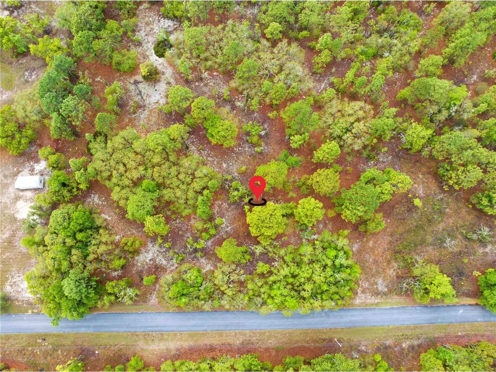 SW 206th Avenue Dunnellon FL 34431 TB8493364 image6