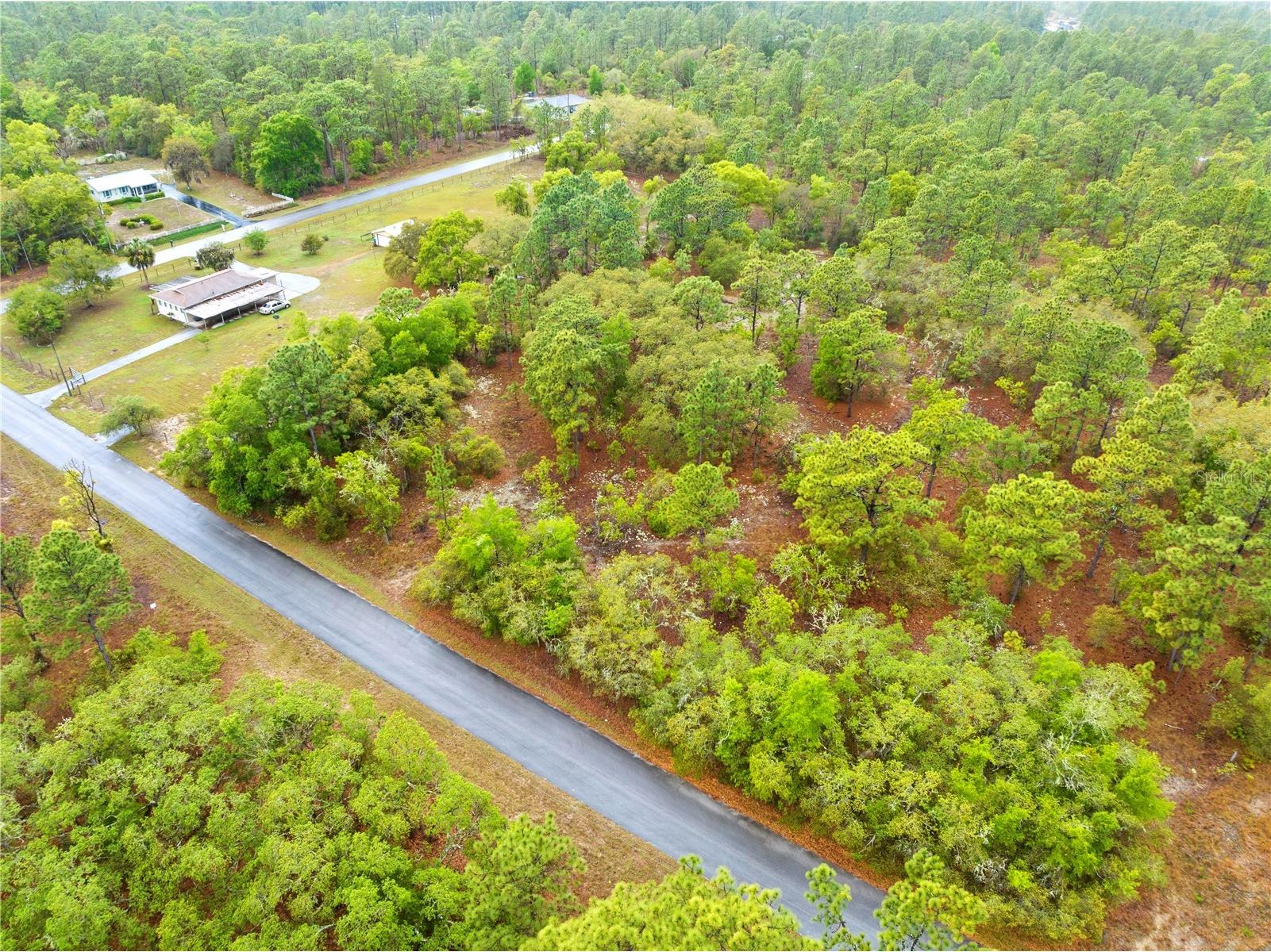 SW 206th Avenue Dunnellon FL 34431 TB8493364 image7