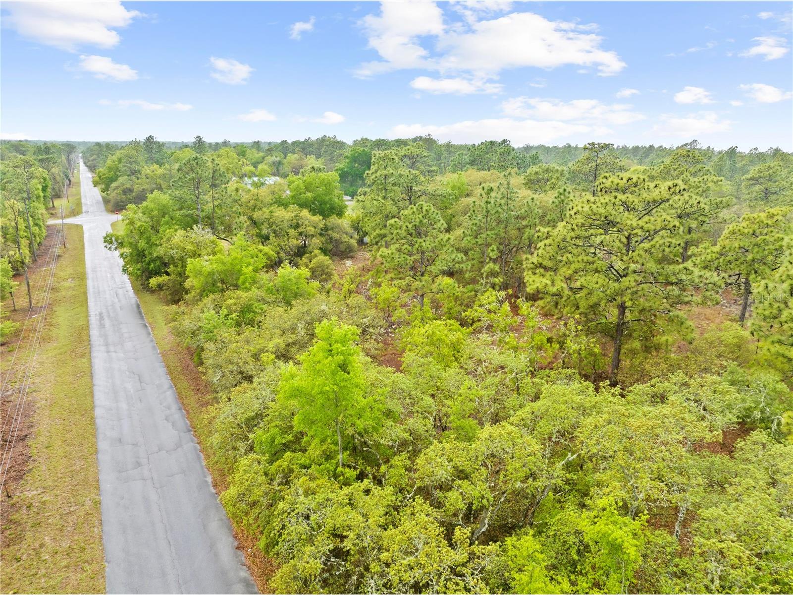 SW 206th Avenue Dunnellon FL 34431 TB8493364 image8
