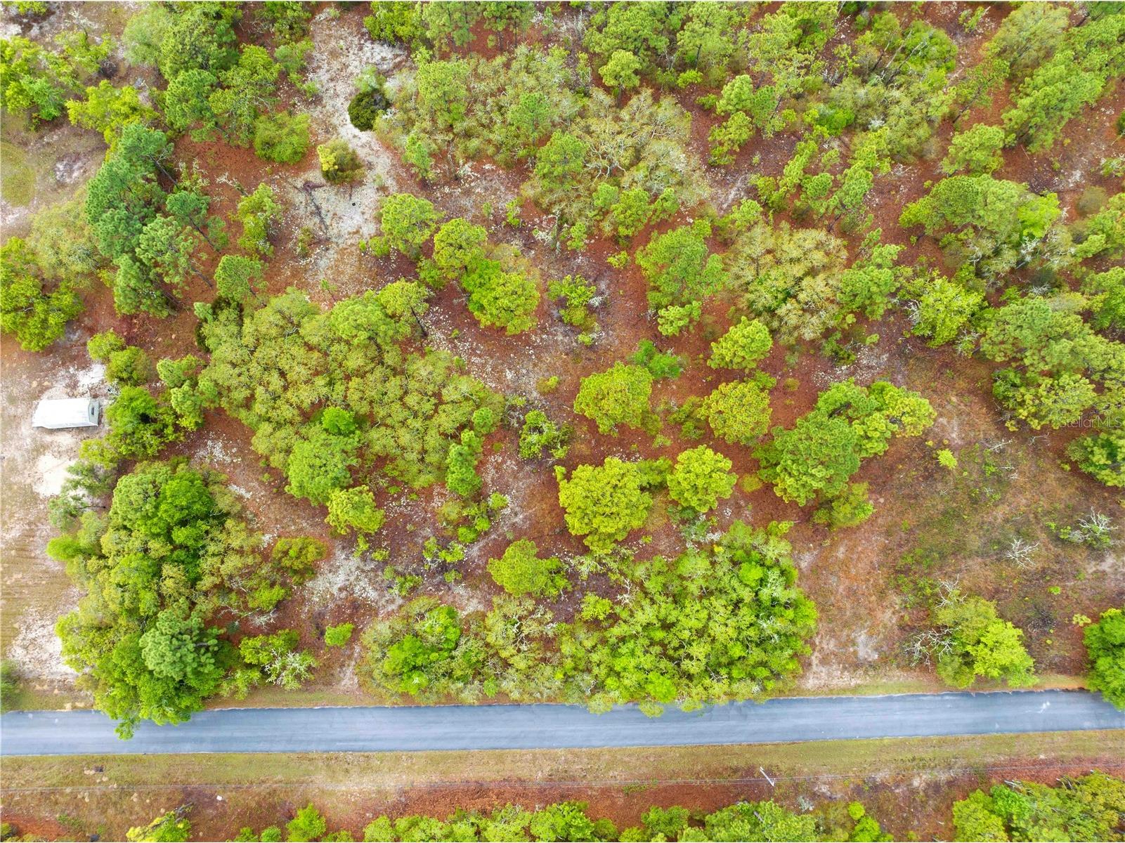 SW 206th Avenue Dunnellon FL 34431 TB8493364 image9