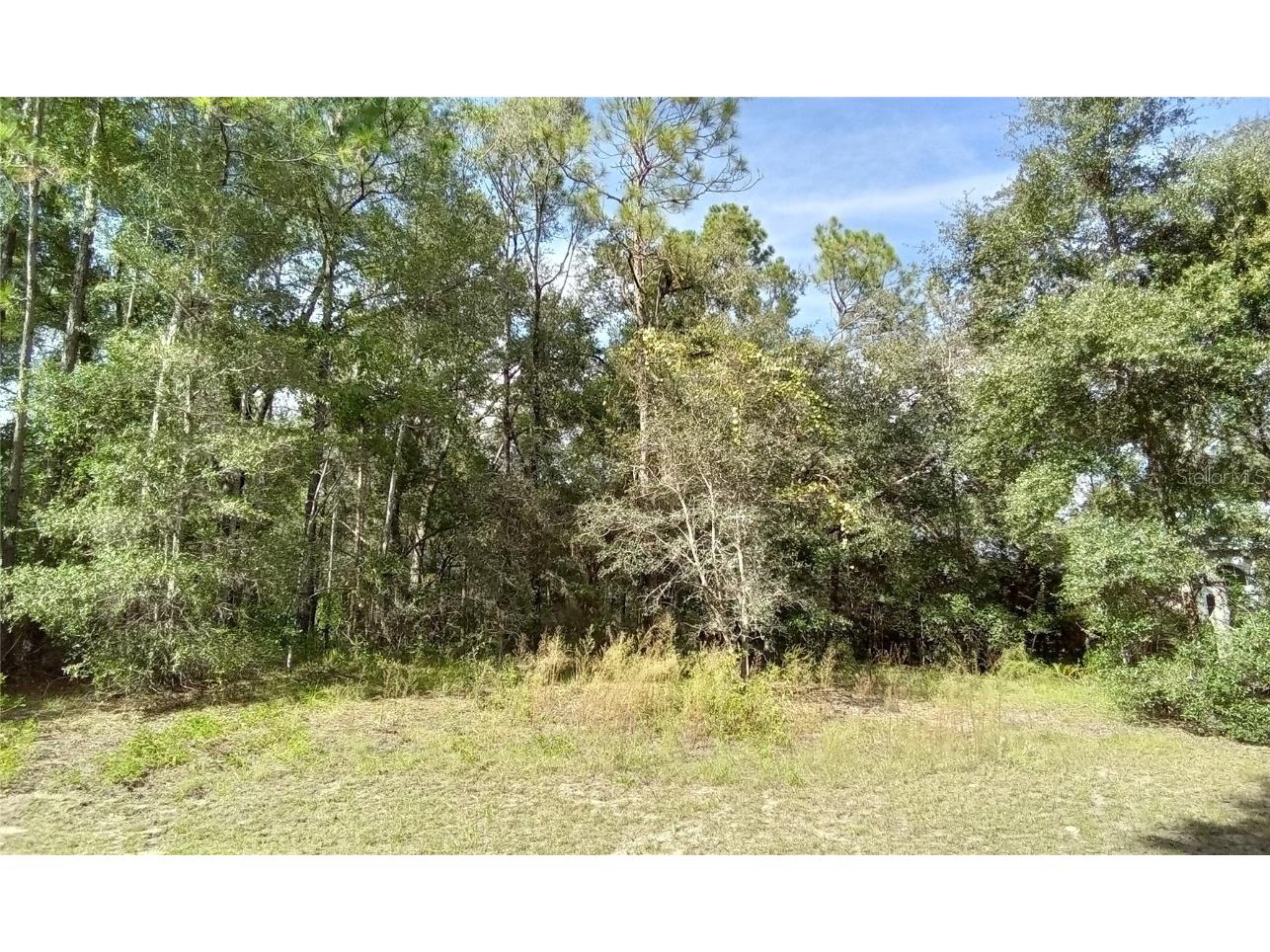 SW 206th Circle Dunnellon FL 34431 OM677819 image1