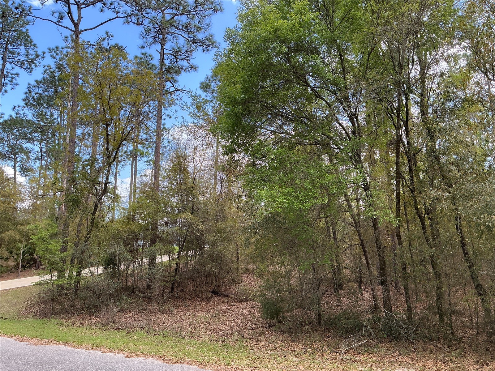 SW 208th Circle Dunnellon FL 34431 OM722986 image3
