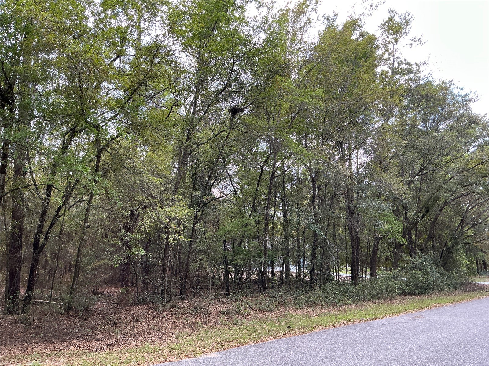 SW 208th Circle Dunnellon FL 34431 OM722986 image4