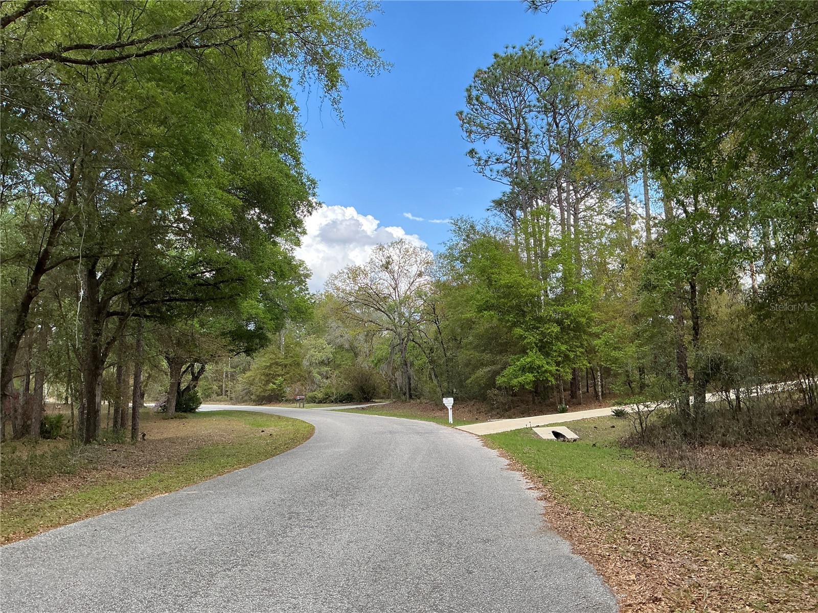 SW 208th Circle Dunnellon FL 34431 OM722986 image5