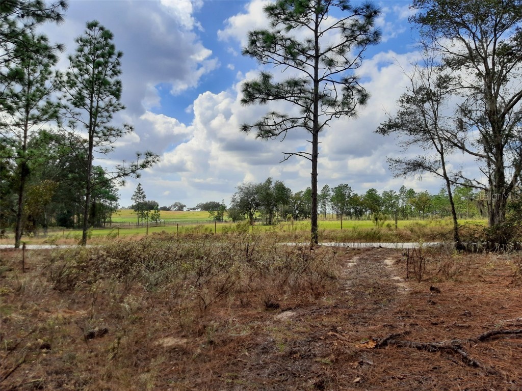 SW 209th Dunnellon FL 34431 OM689634 image1