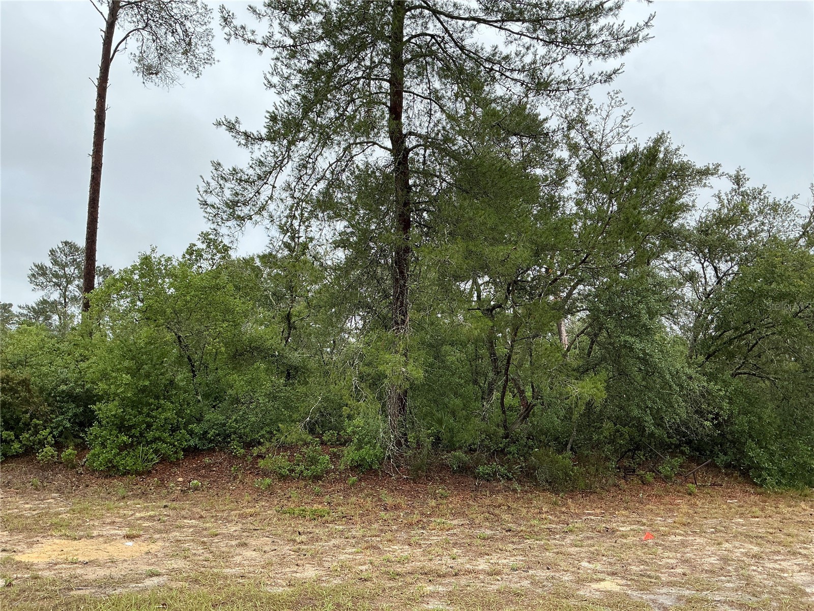 SW 20th Court Ocala FL 34473 OM725161 image1
