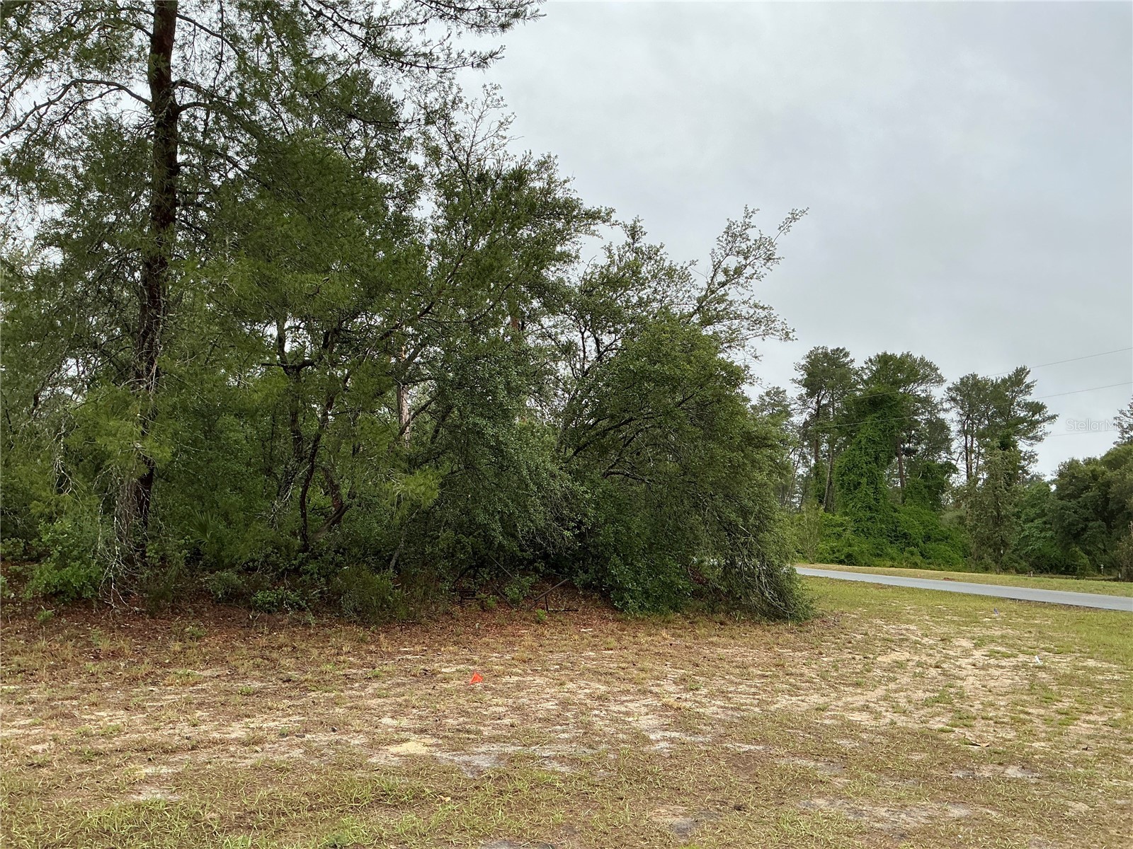 SW 20th Court Ocala FL 34473 OM725161 image4