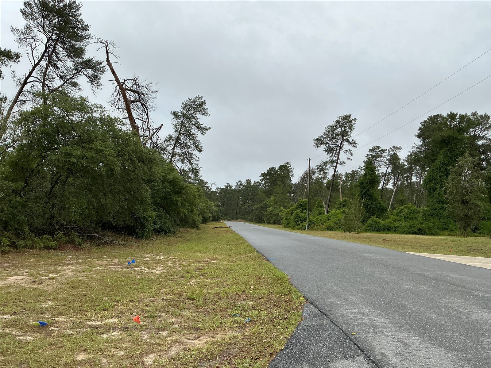 SW 20th Court Ocala FL 34473 OM725161 image6