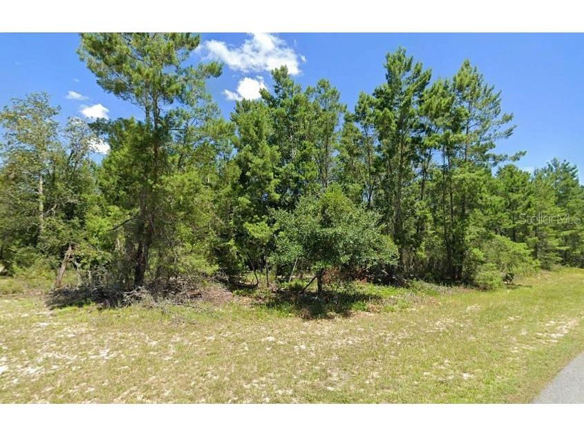 SW 20th Court Road Ocala FL 34473 O6179438 image1