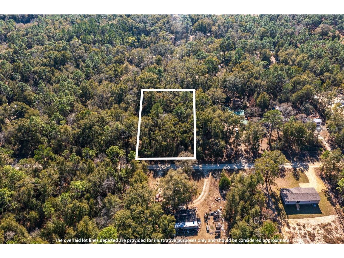 SW 20th Lane Ocala FL 34481 TB8342527 image1