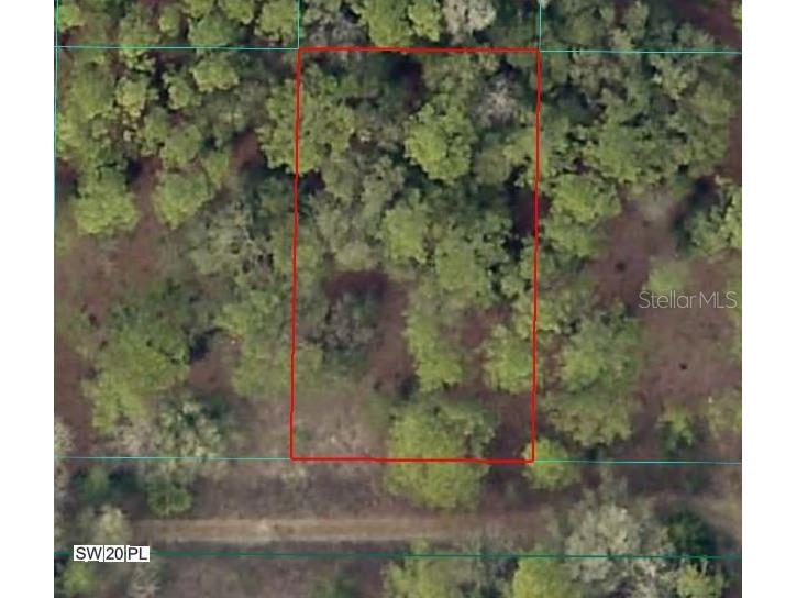 SW 20th Place Ocala FL 34481 OM717076 image1