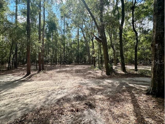 SW 20th Street Bell FL 32619 GC534990 image10