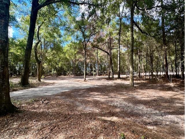 SW 20th Street Bell FL 32619 GC534990 image11