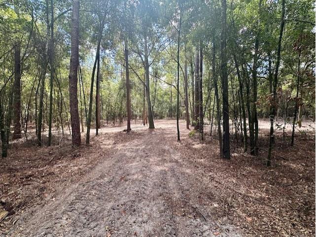 SW 20th Street Bell FL 32619 GC534990 image12