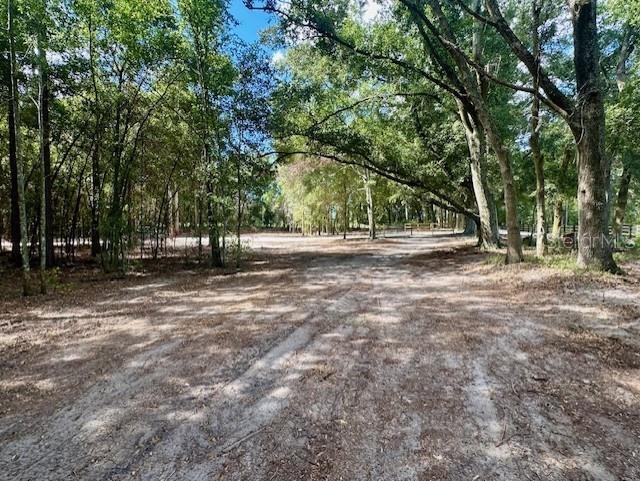 SW 20th Street Bell FL 32619 GC534990 image13