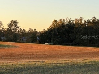 SW 20th Street Bell FL 32619 GC534990 image14