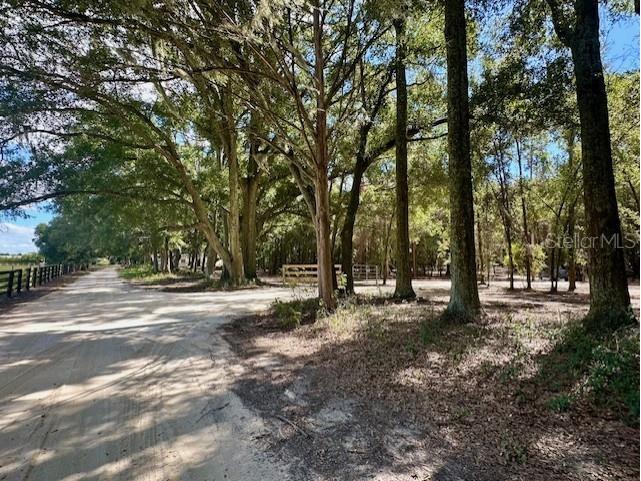 SW 20th Street Bell FL 32619 GC534990 image2