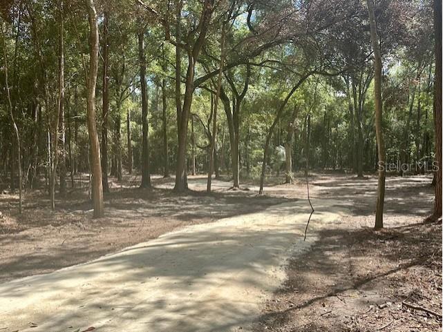 SW 20th Street Bell FL 32619 GC534990 image4