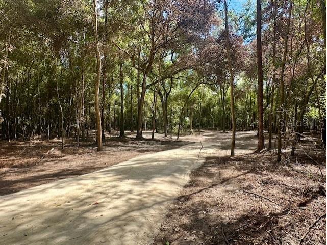 SW 20th Street Bell FL 32619 GC534990 image5