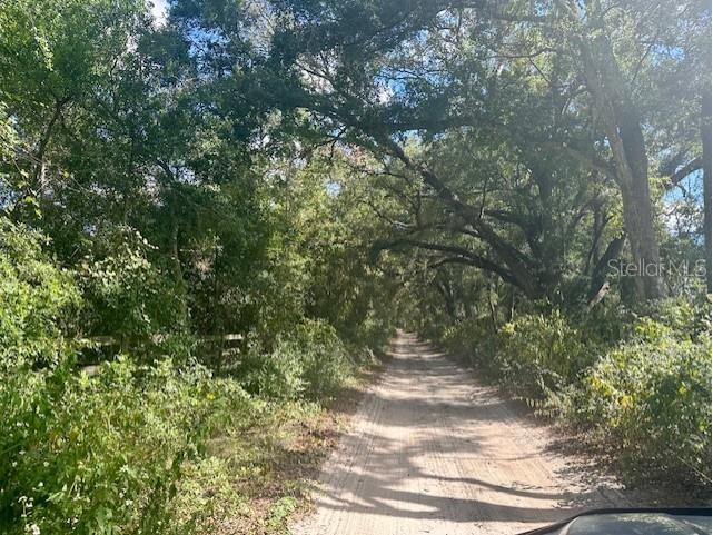 SW 20th Street Bell FL 32619 GC534990 image6