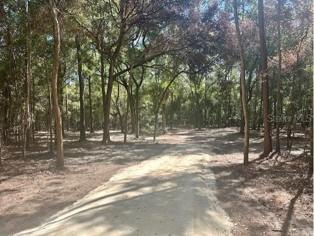 SW 20th Street Bell FL 32619 GC534990 image7