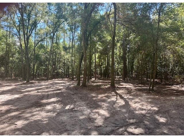 SW 20th Street Bell FL 32619 GC534990 image8