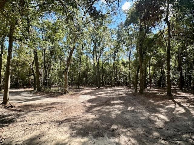 SW 20th Street Bell FL 32619 GC534990 image9