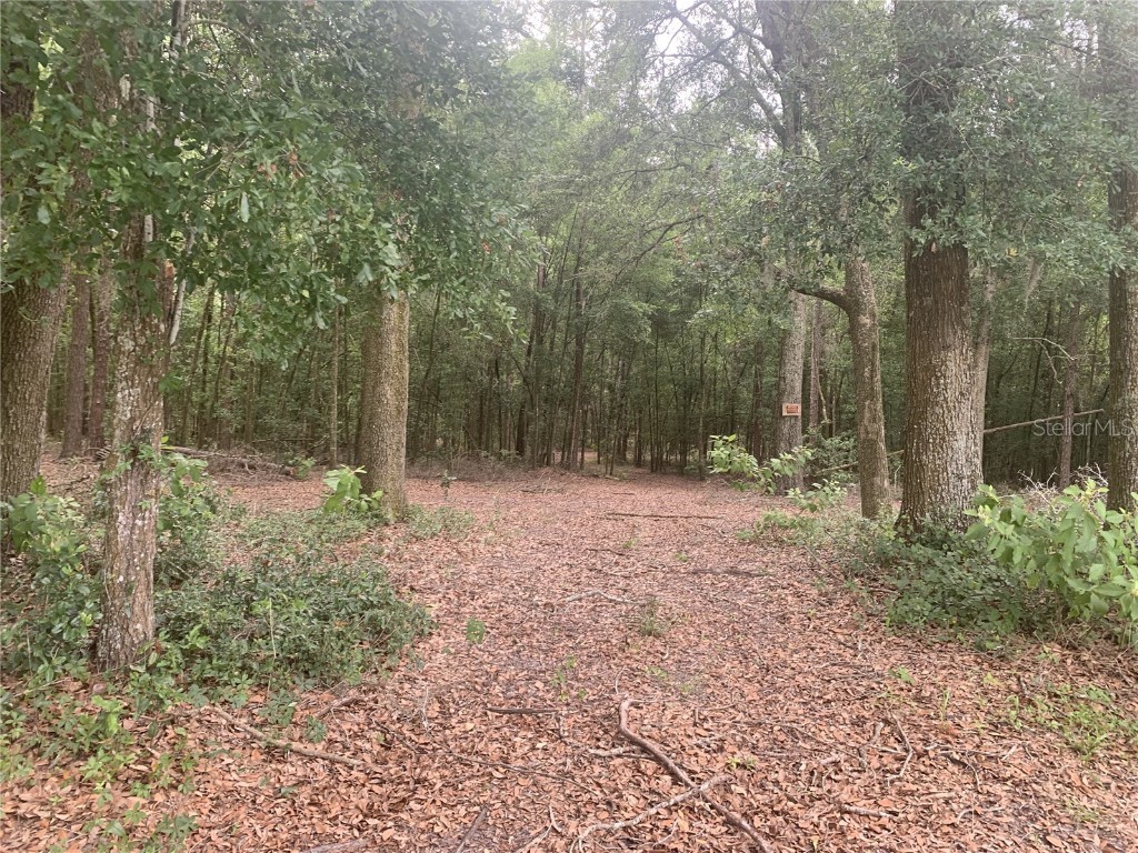 SW 20th Street Bell FL 32619 OK225352 image1