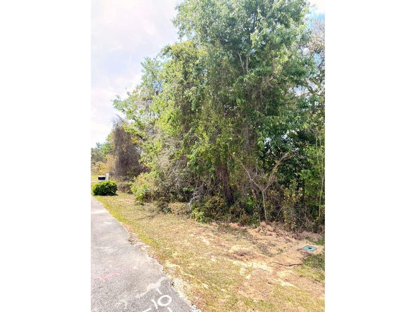 SW 21 Court Ocala FL 34473 O6394921 image1